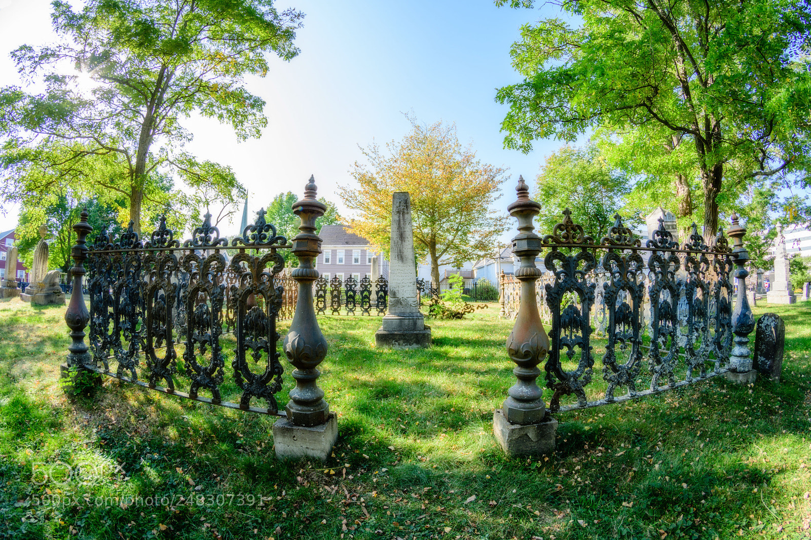 Nikon D500 sample photo. Burial ground orton photography