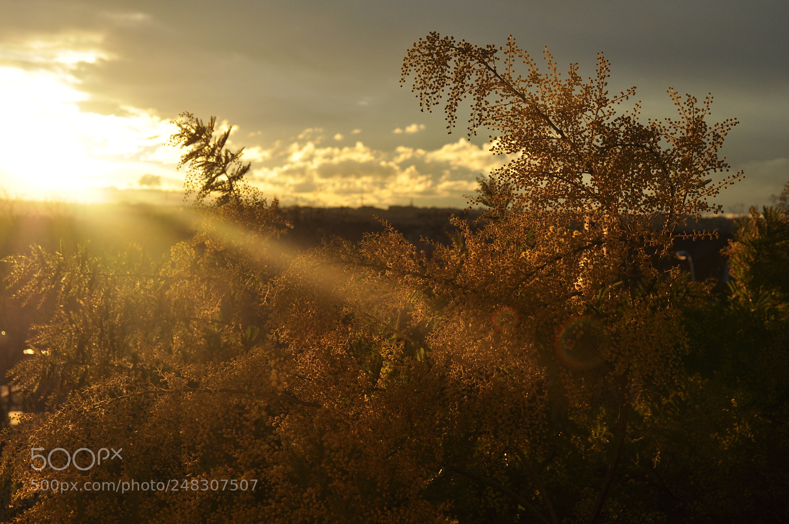 Nikon D5000 sample photo. Energy photography