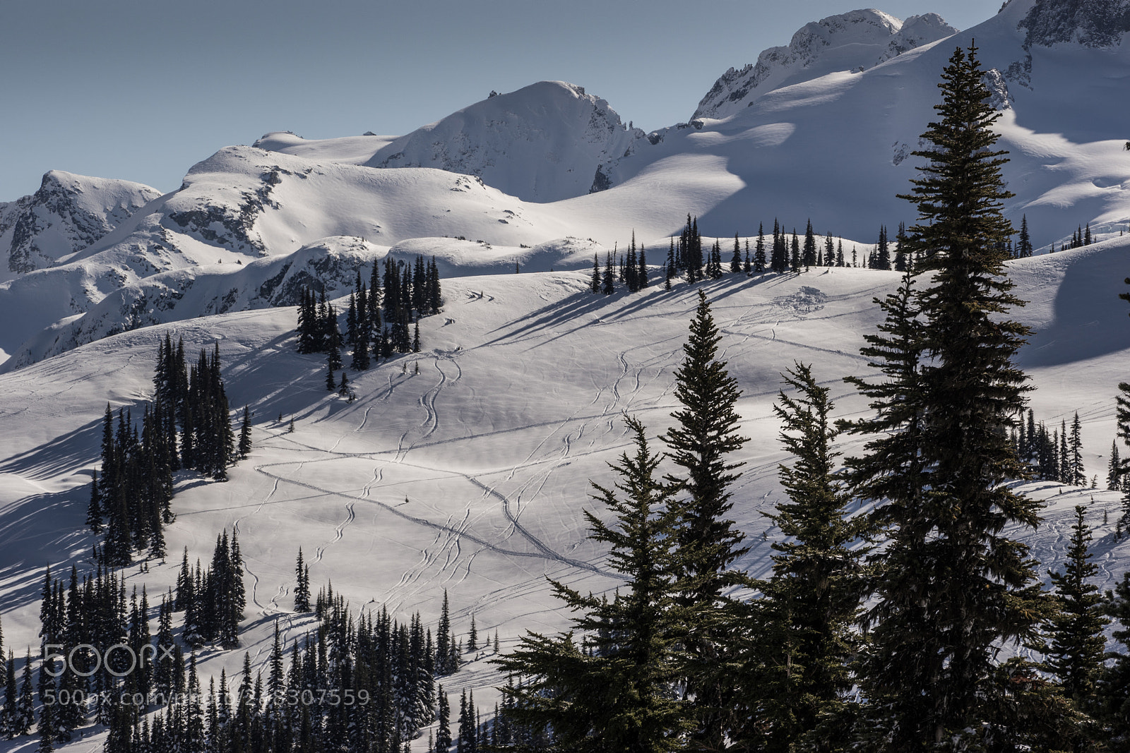 Sony a7 sample photo. Symphony never disappoint photography