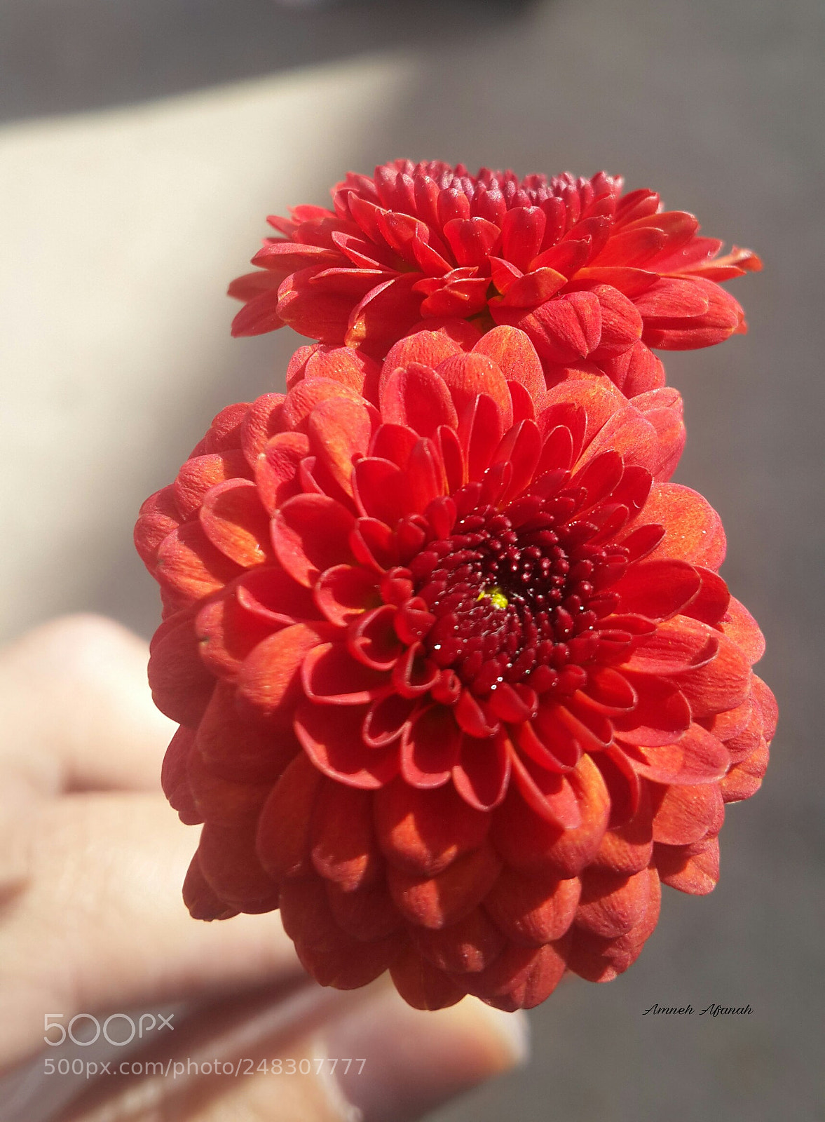 Samsung Galaxy S4 sample photo. Untitled photography
