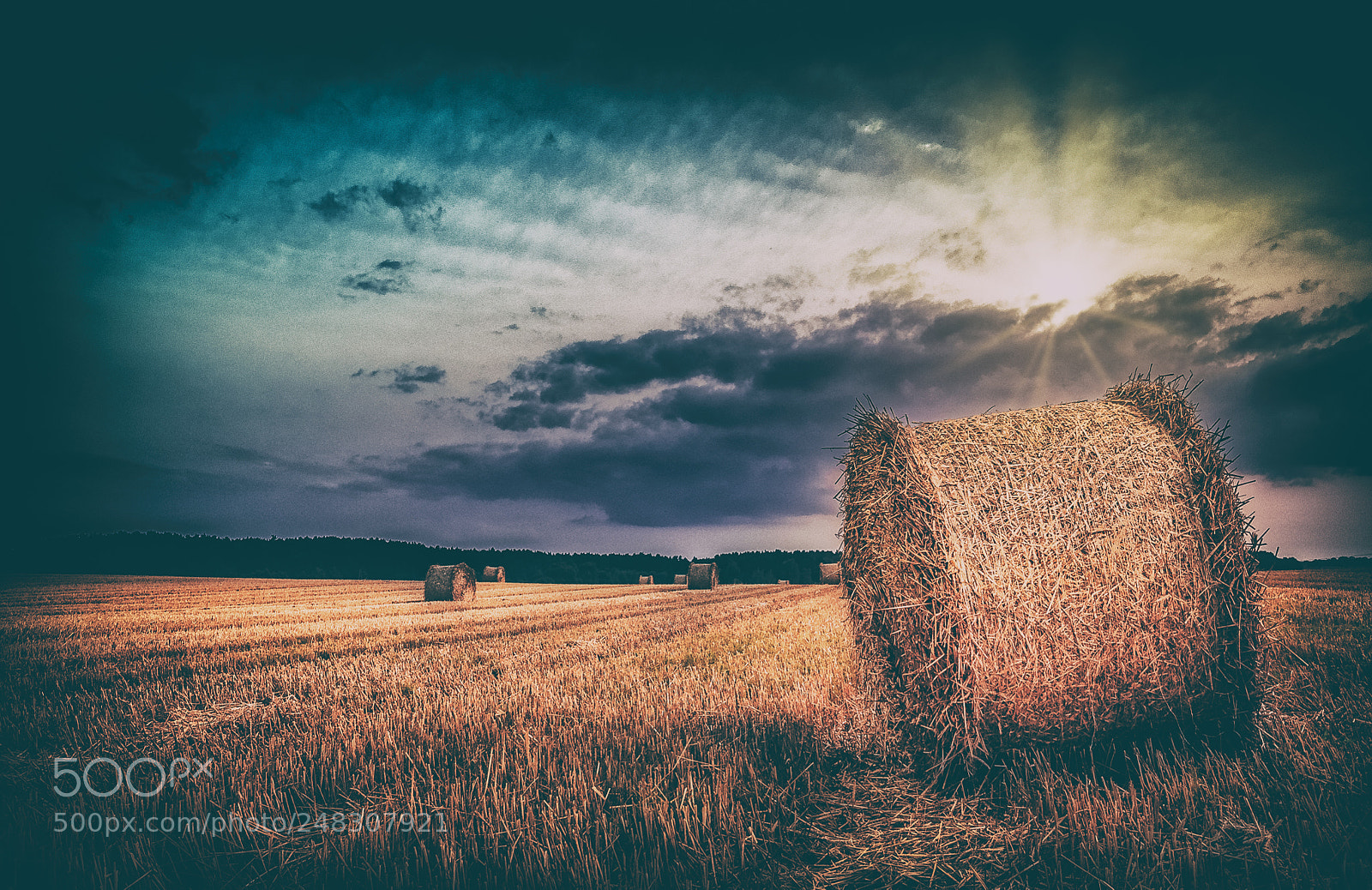 Nikon D300S sample photo. After harvest photography