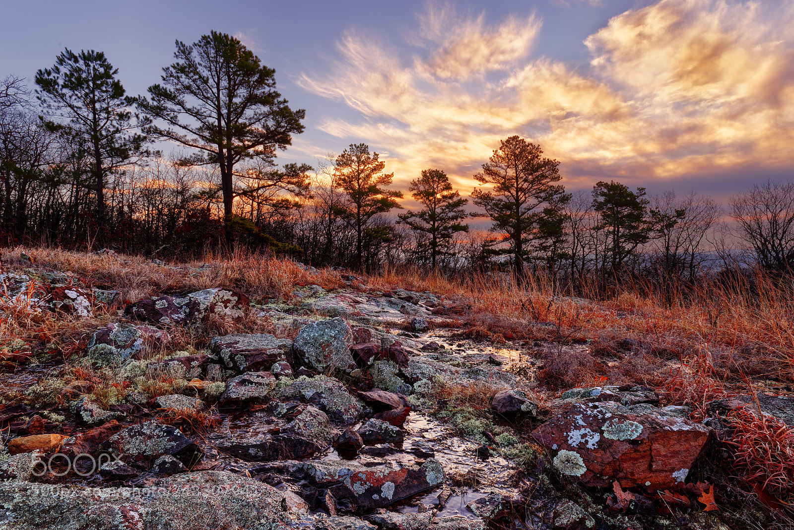 Nikon D610 sample photo. Russell mountain glade photography