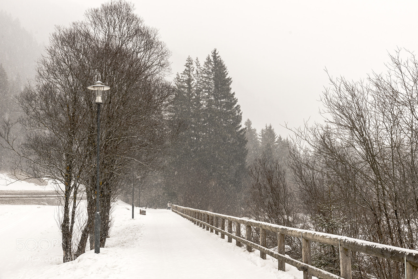 Nikon D610 sample photo. L'inverno photography