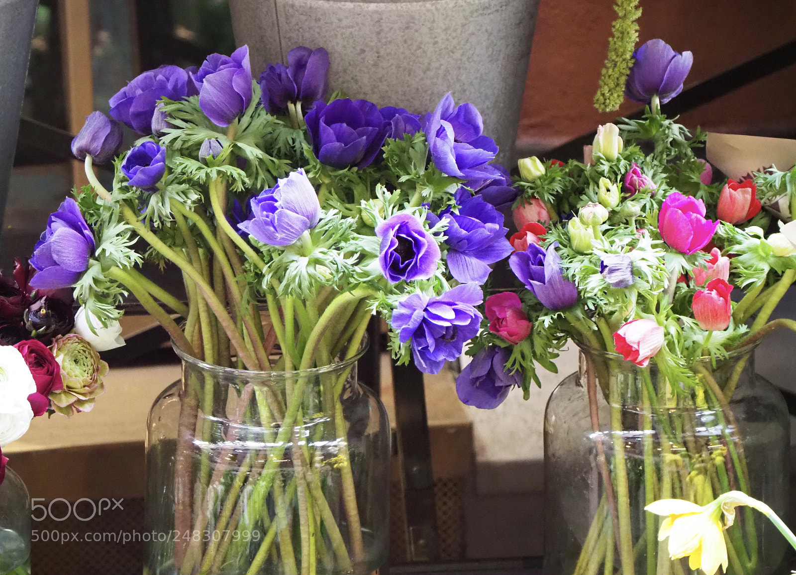Olympus OM-D E-M1 Mark II sample photo. Fleur photography