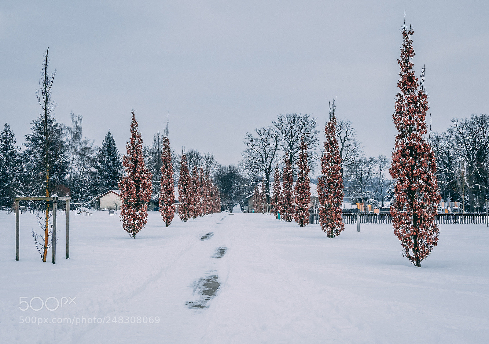 Canon EOS 7D Mark II sample photo. Snowy park photography