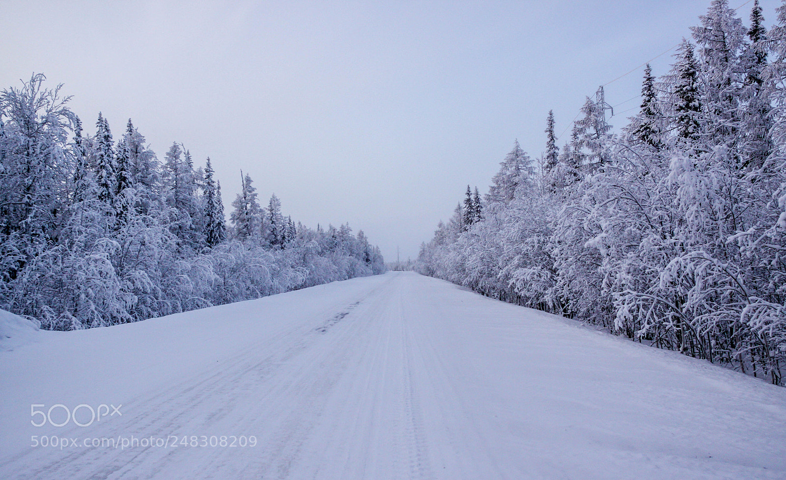 Canon EOS 50D sample photo. Winter photography