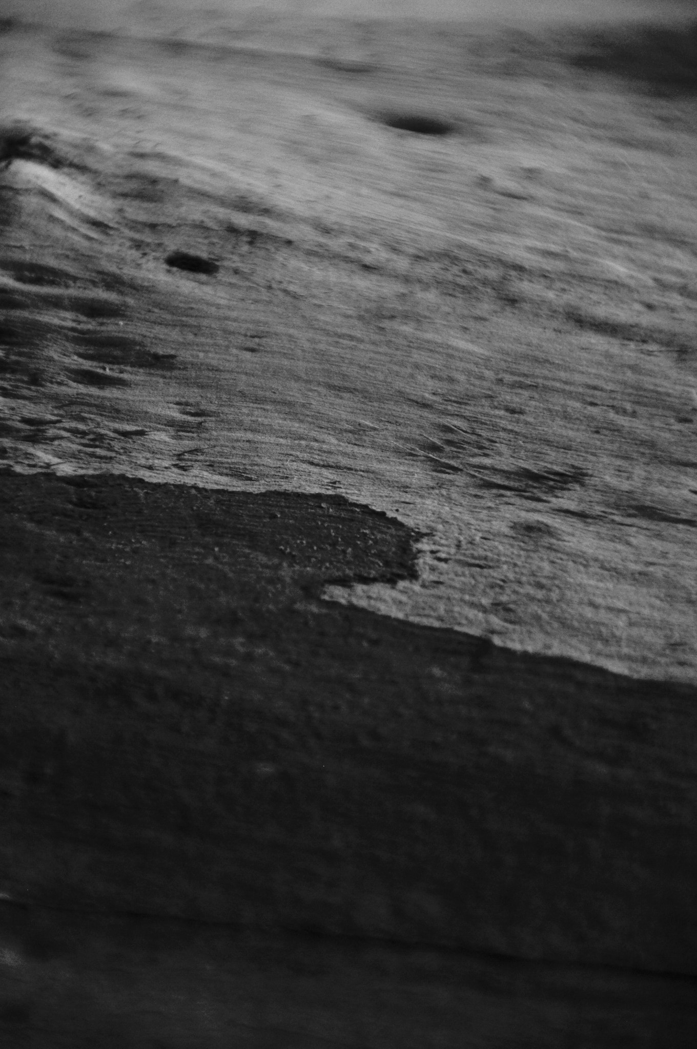 Nikon D90 sample photo. Sea wood photography