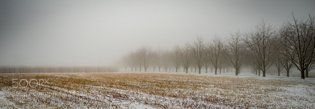 Pentax K-1 sample photo. Landschaft photography