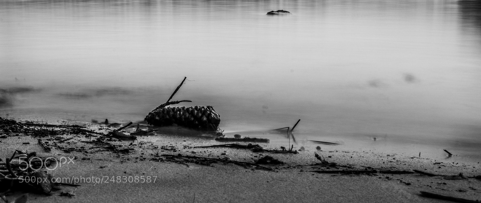 Canon EOS 750D (EOS Rebel T6i / EOS Kiss X8i) sample photo. Shore line photography