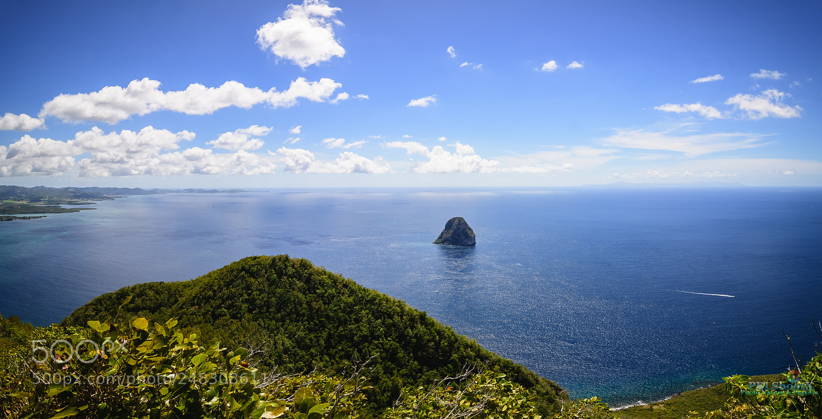 Nikon D500 sample photo. Point de vue au photography