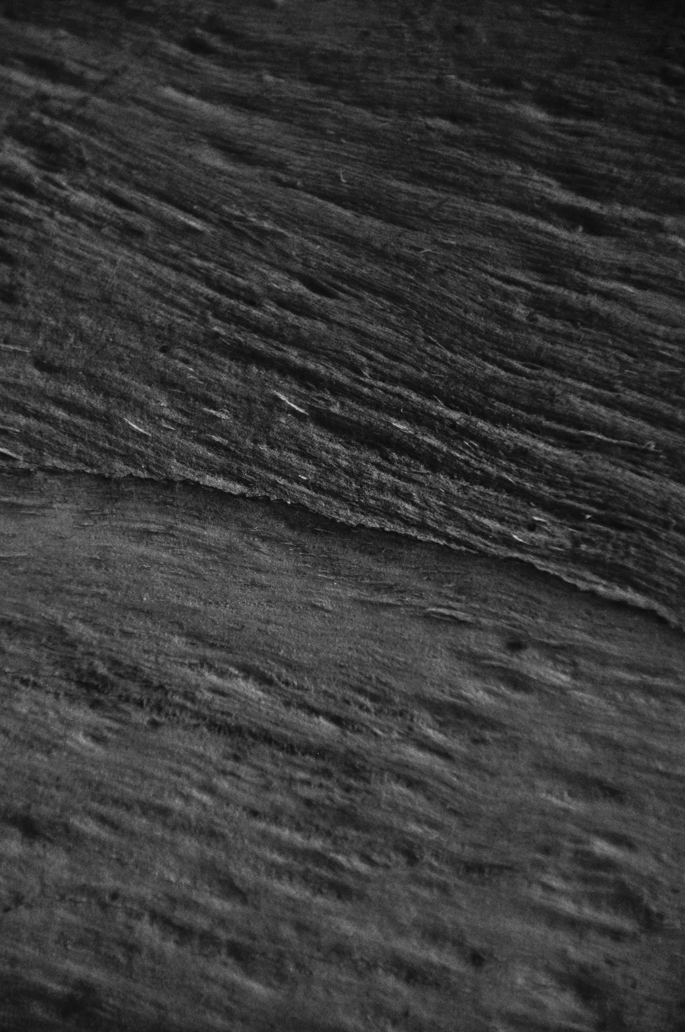 Nikon D90 sample photo. Wood waves photography