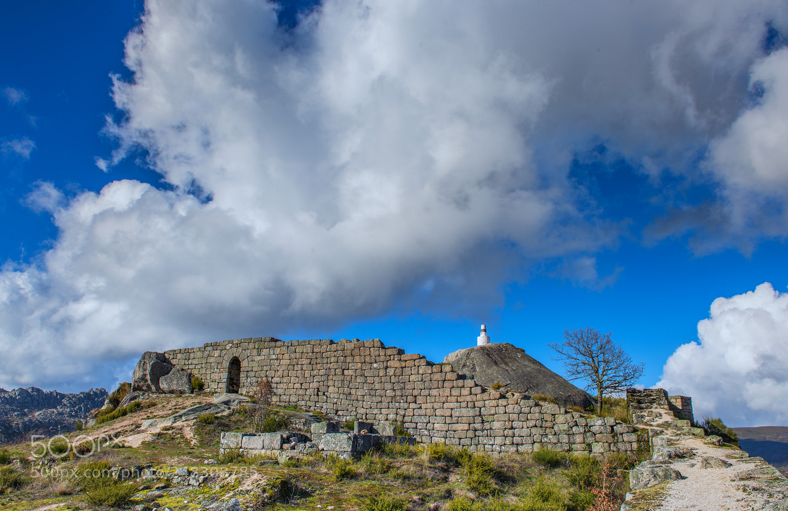 Nikon D600 sample photo. The sky is the photography