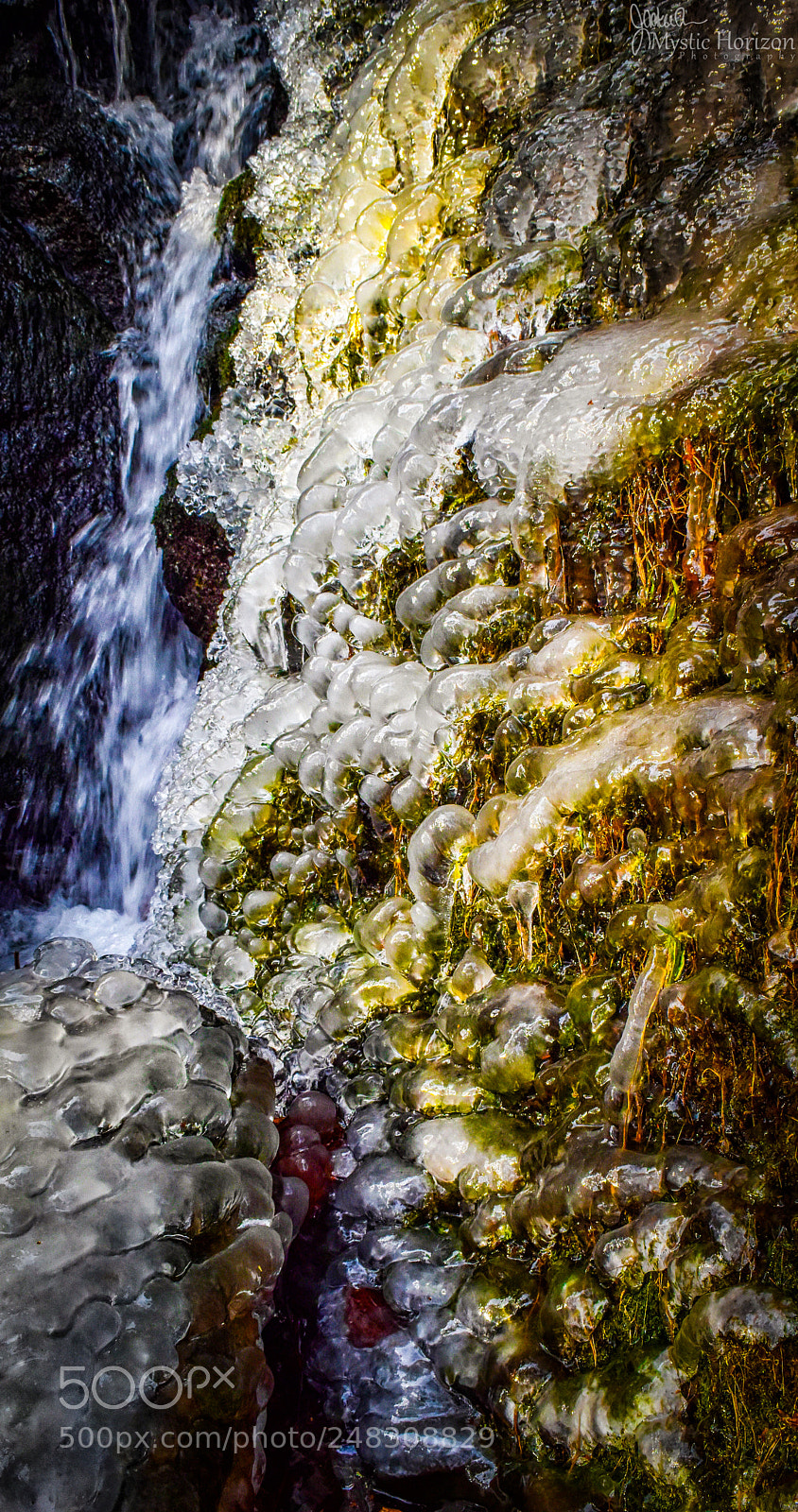 Nikon D5500 sample photo. Never stop moving photography