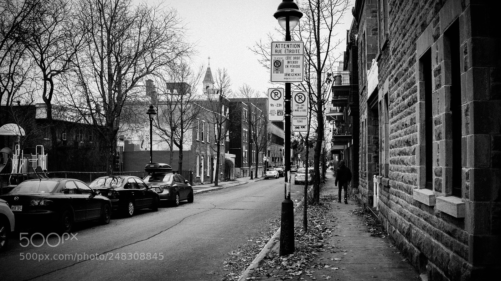Sony Alpha a3500 sample photo. Montreal life photography
