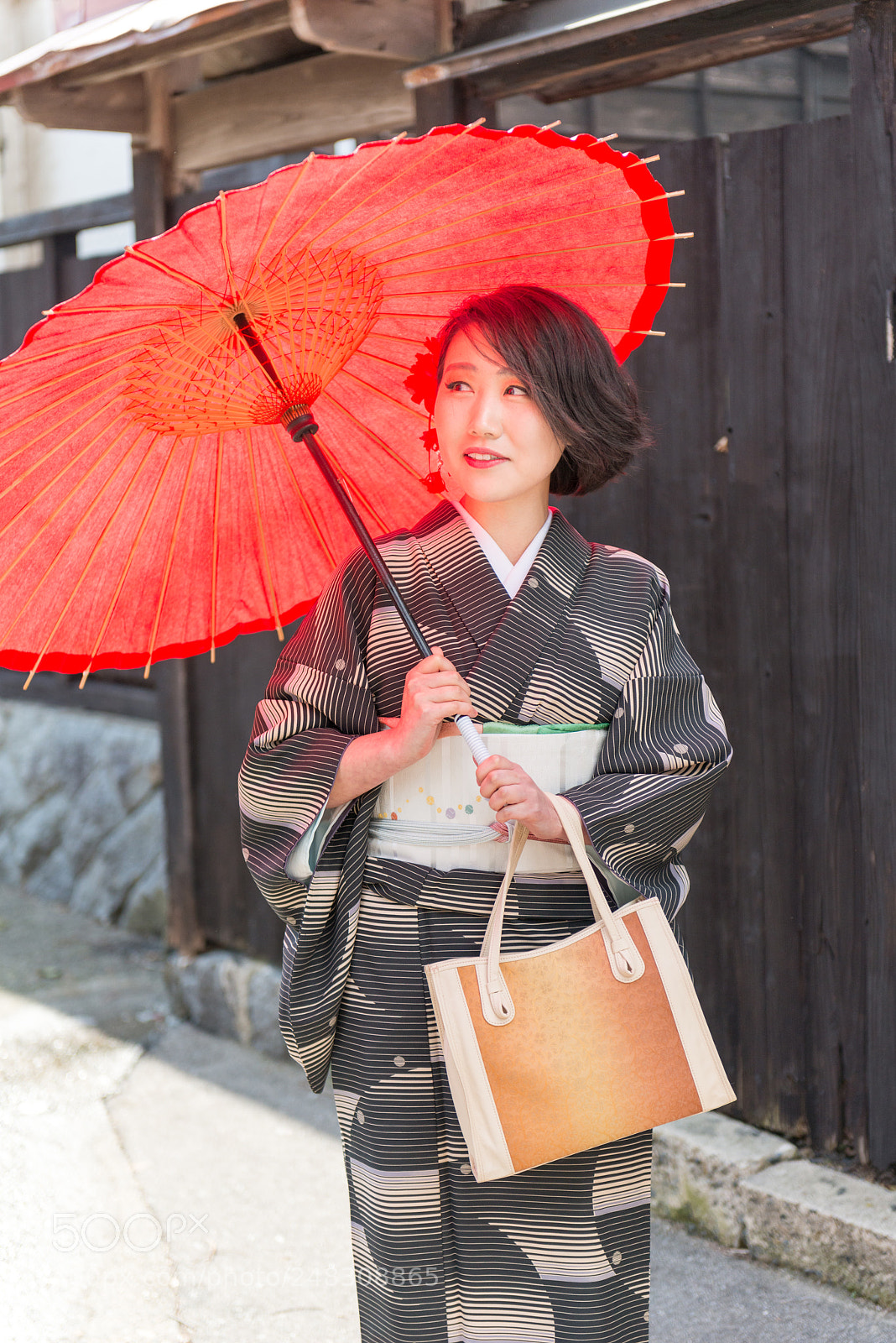 Nikon D800 sample photo. 村上　町屋の人形さま巡り photography