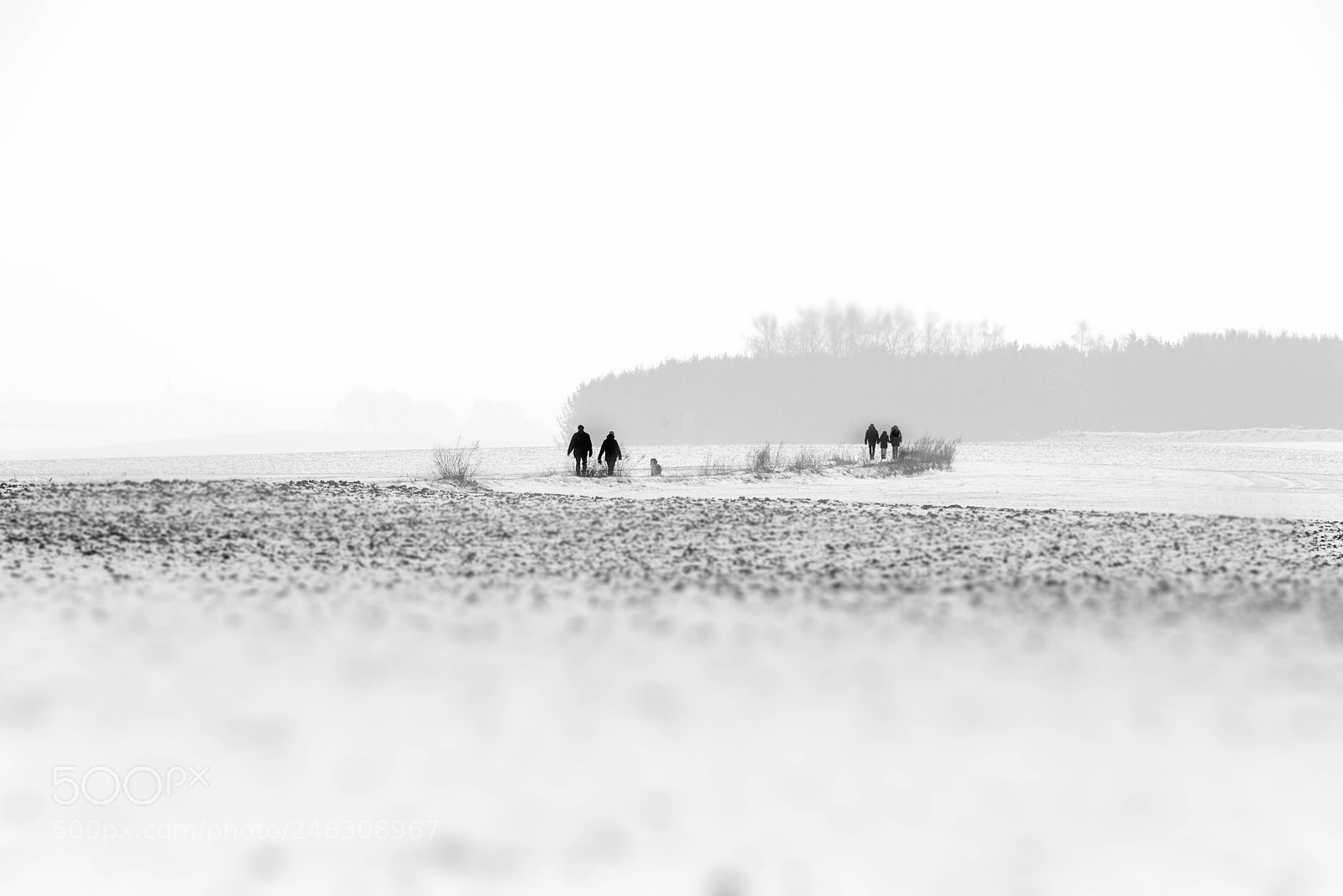 Nikon D610 sample photo. A walk in the photography