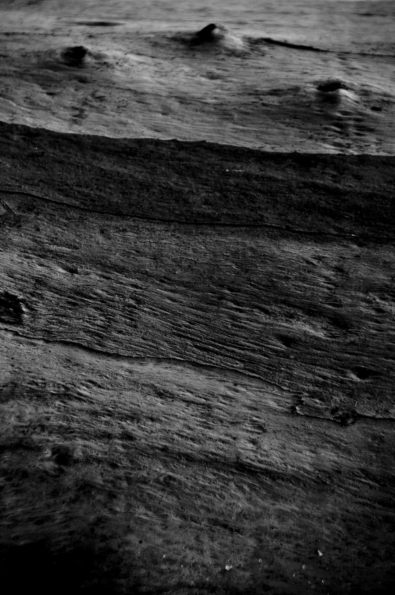 Nikon D90 sample photo