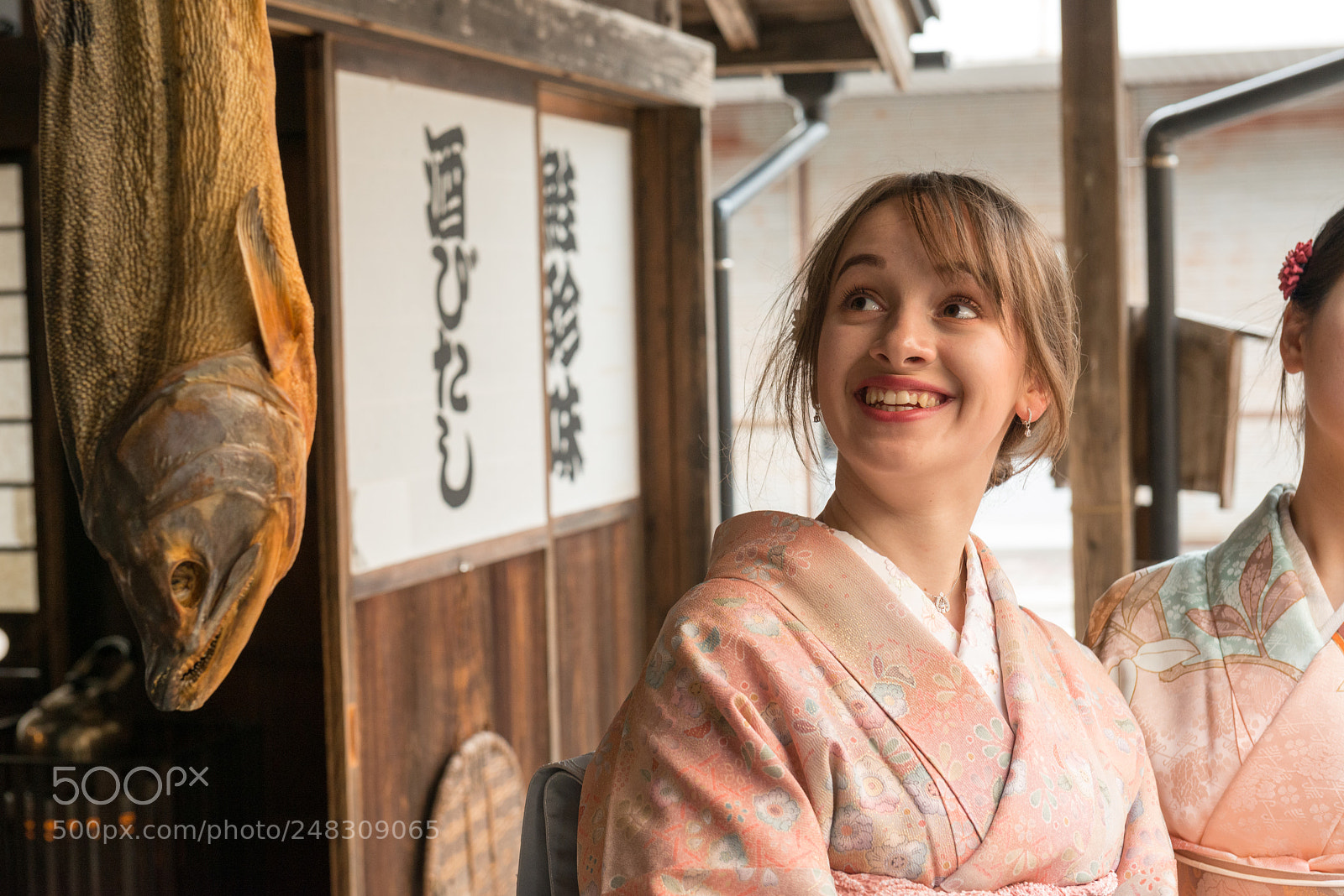 Nikon D800 sample photo. 村上　町屋の人形さま巡り photography