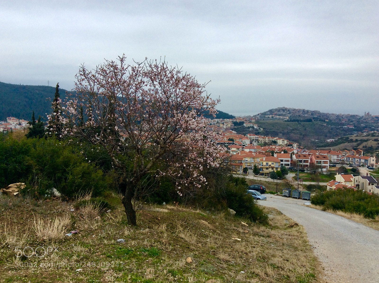 Apple iPad mini 2 sample photo. Spring is coming! photography