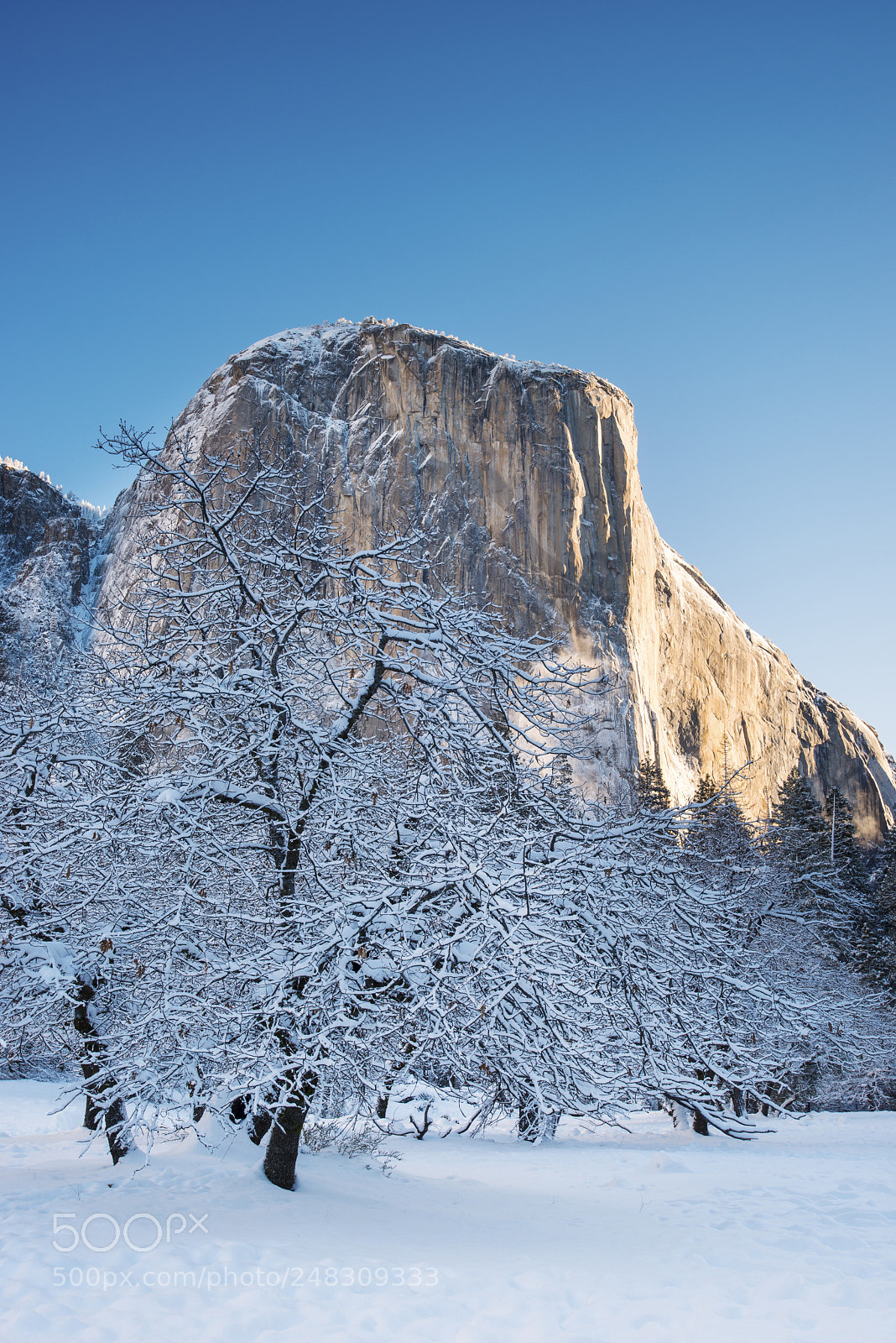 Nikon D800 sample photo. Winter elcap photography