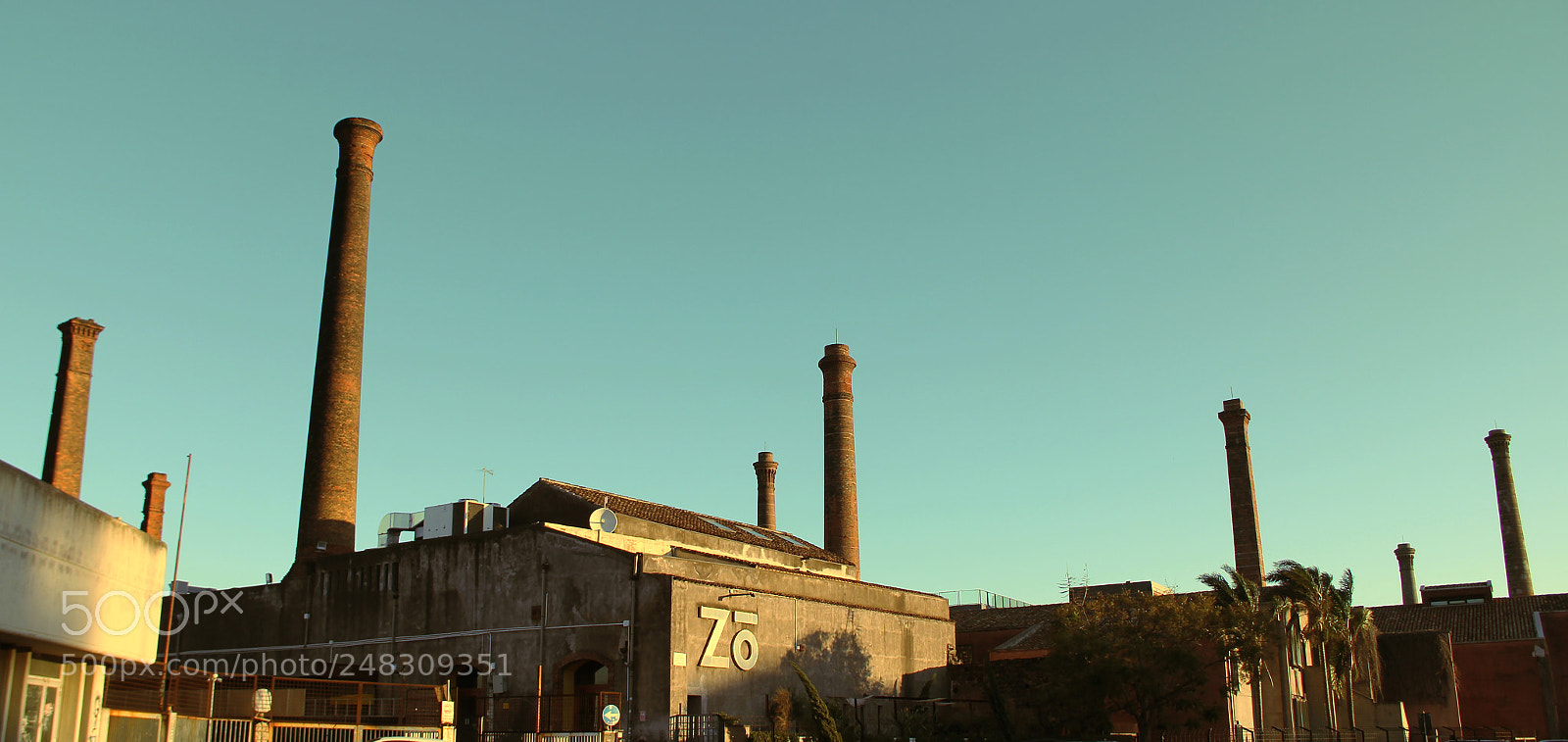Canon EOS 60D sample photo. Ciminiere photography