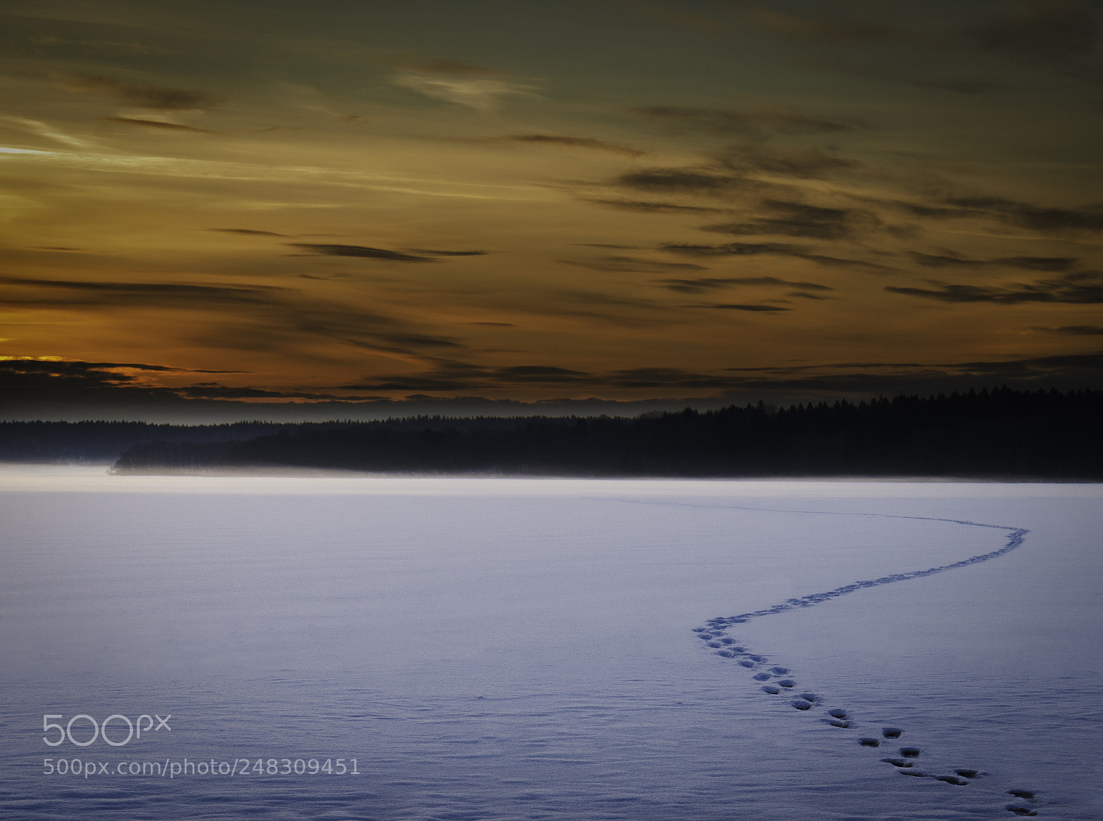 Nikon D800E sample photo. Across the lake photography