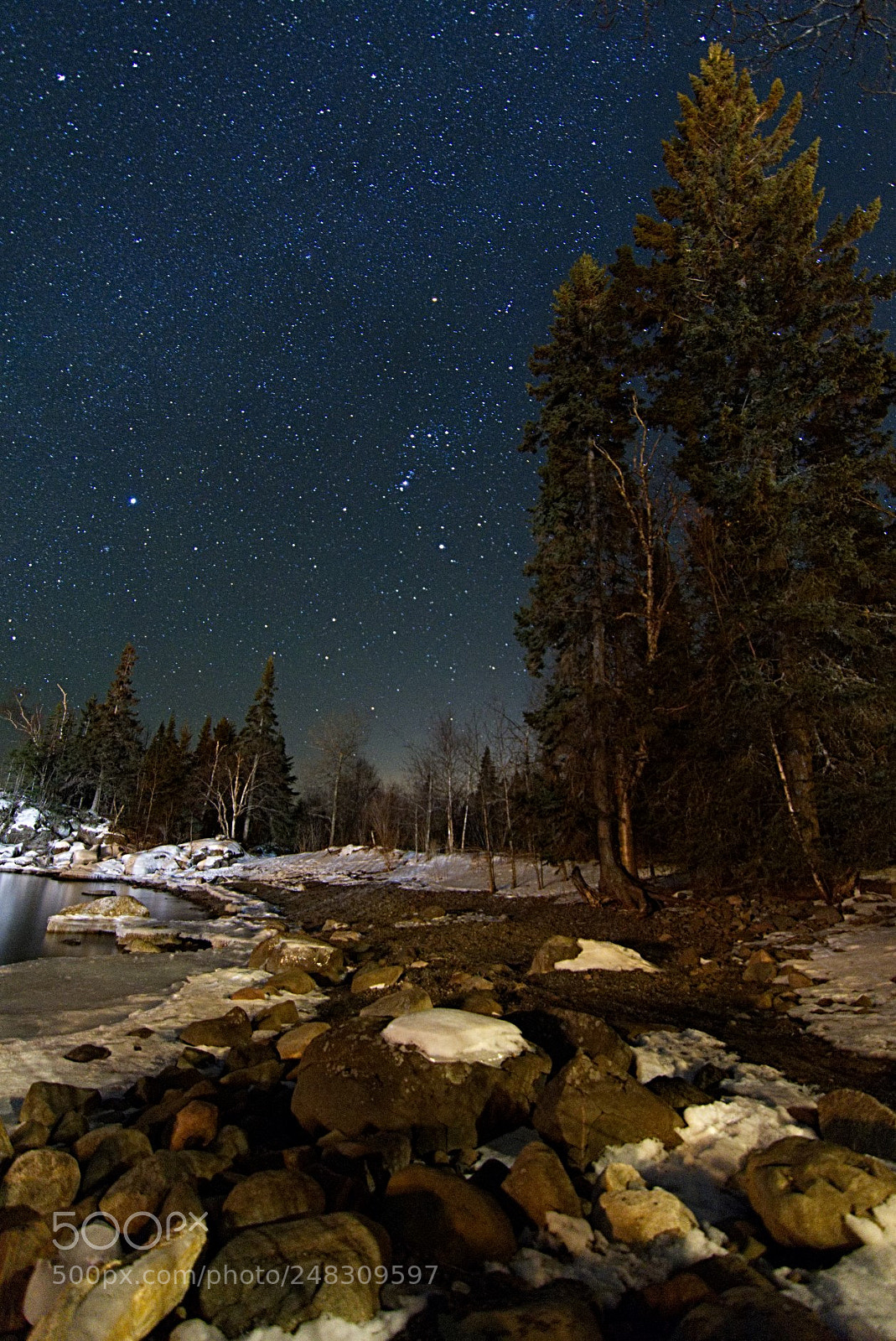 Nikon D7200 sample photo. Stars at cove point photography