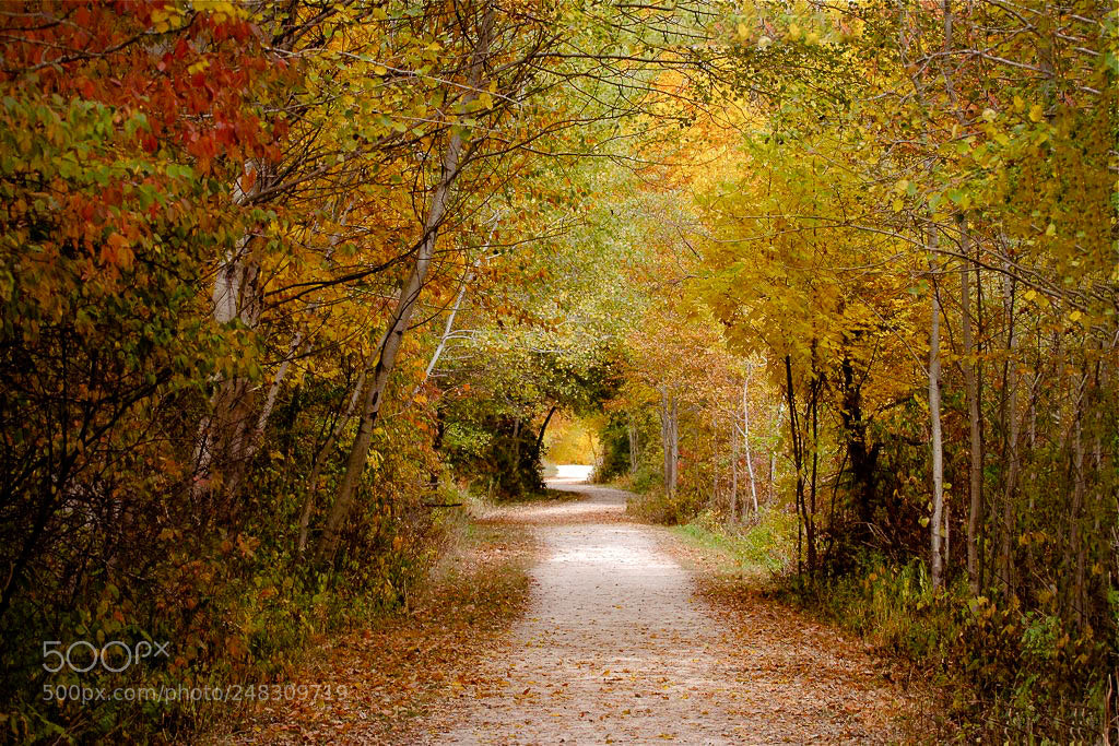 Canon EOS 7D sample photo. The tunnel photography