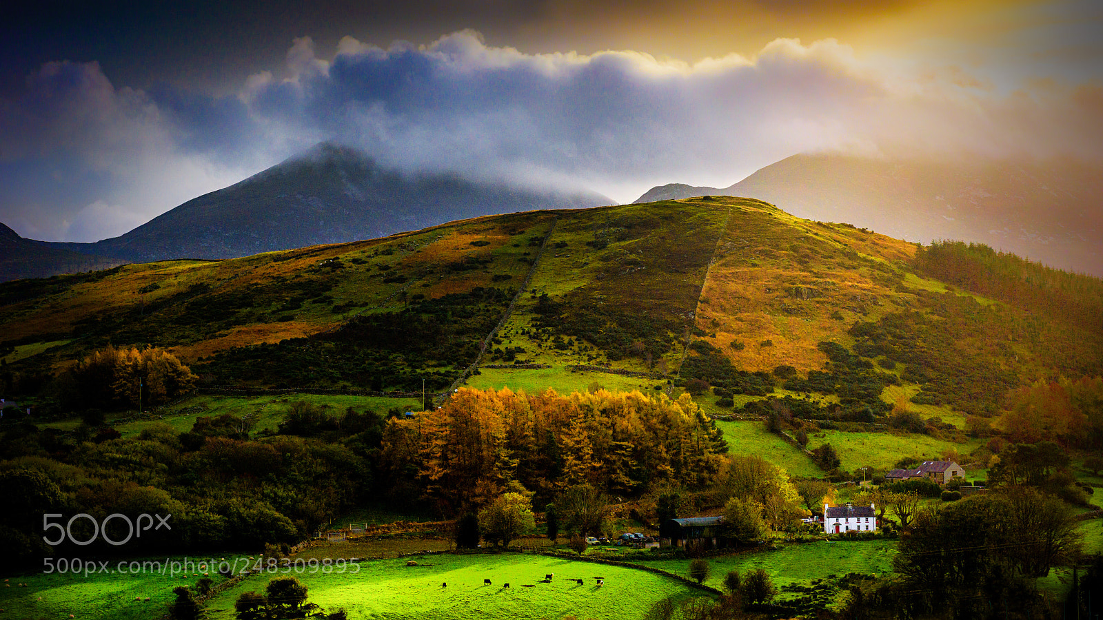 Nikon D810 sample photo. Autumn in the mountains. photography
