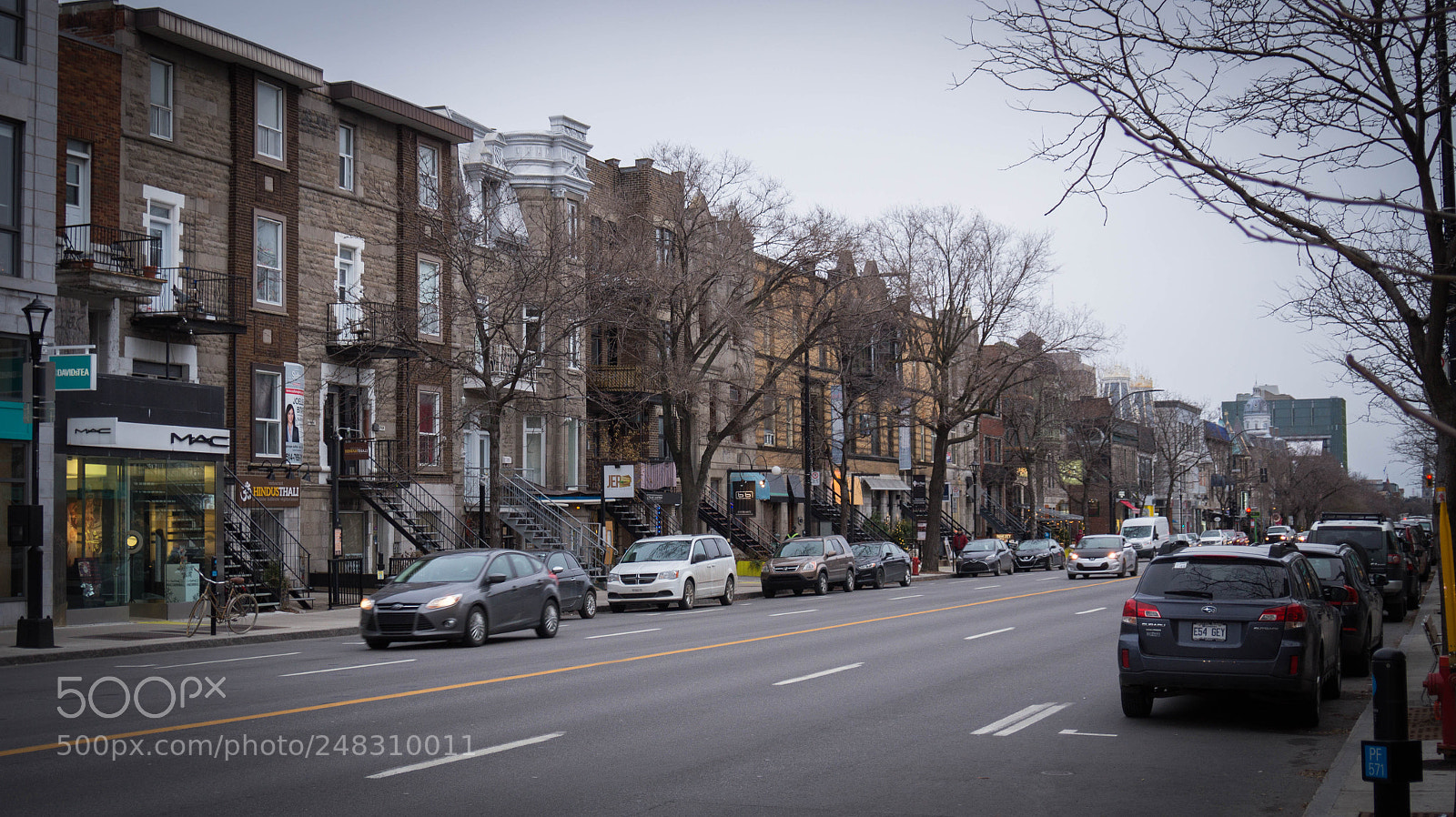 Sony Alpha a3500 sample photo. Montreal life photography