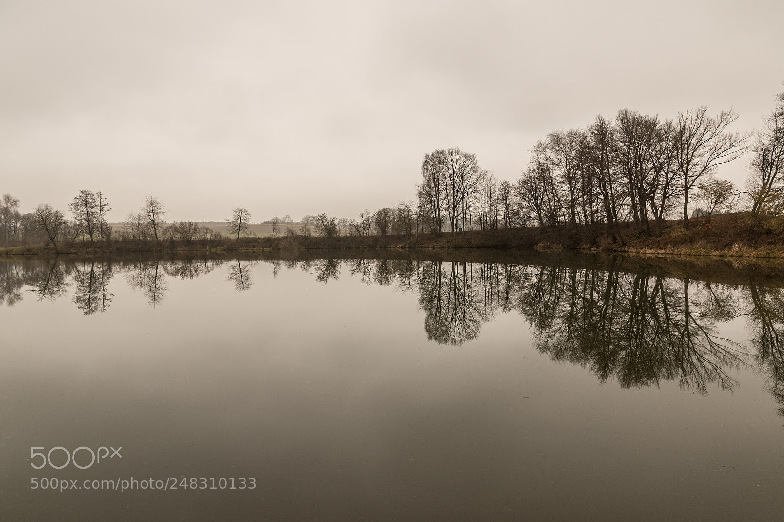 Canon EOS 7D Mark II sample photo. Ebertshausener see photography