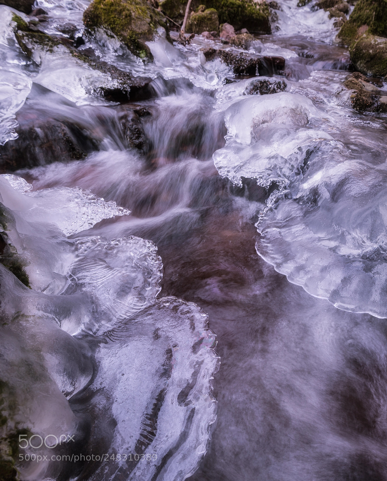 Nikon D5 sample photo. Frozen stream photography