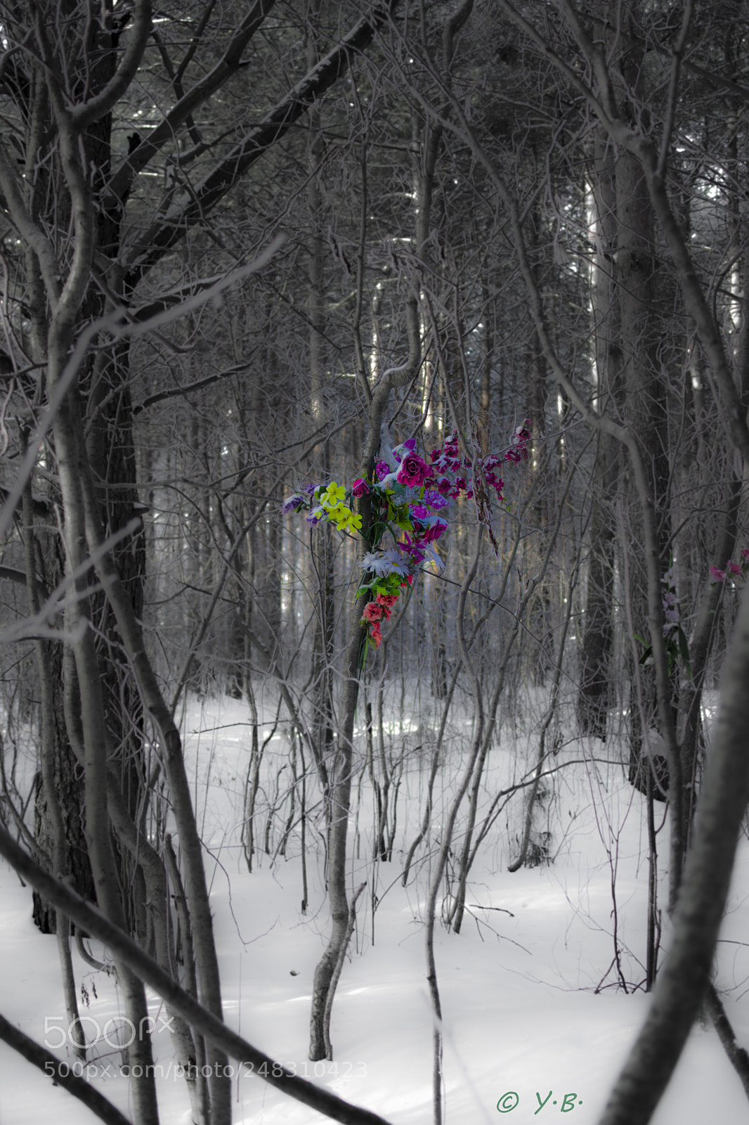 Pentax K-70 sample photo. Memory photography