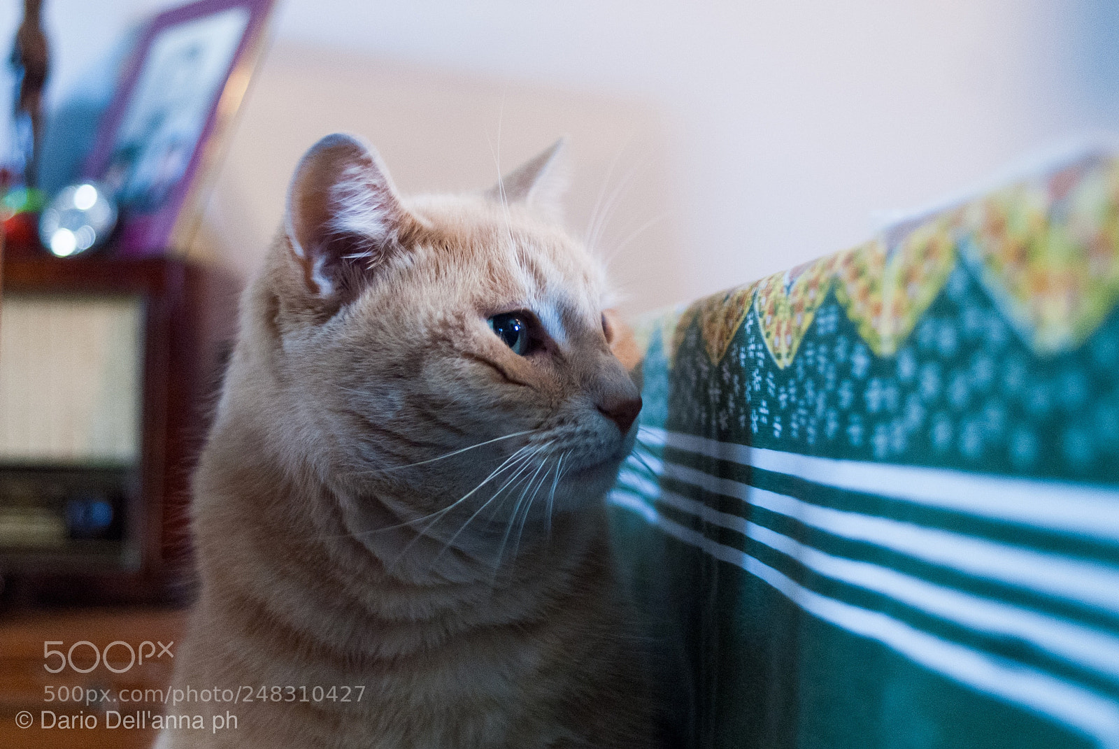 Sony Alpha DSLR-A200 sample photo. Predator soul,  crunchies dish photography