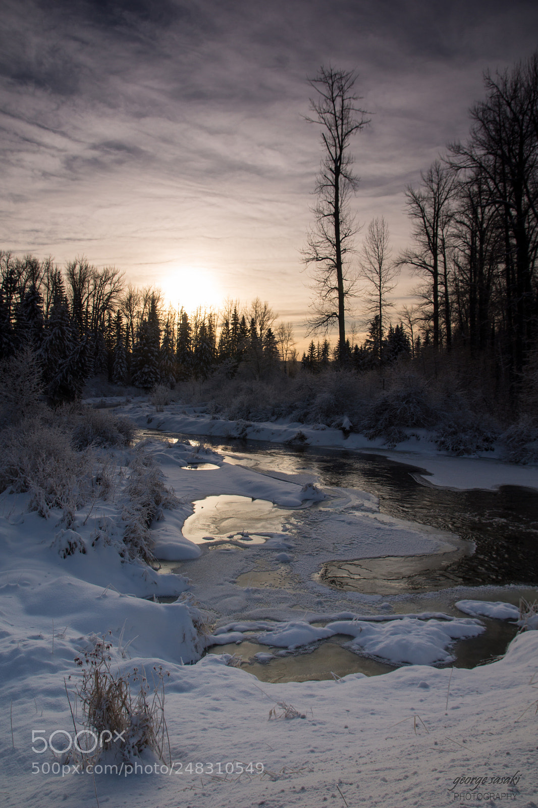 Sony SLT-A77 sample photo. Winter sun photography