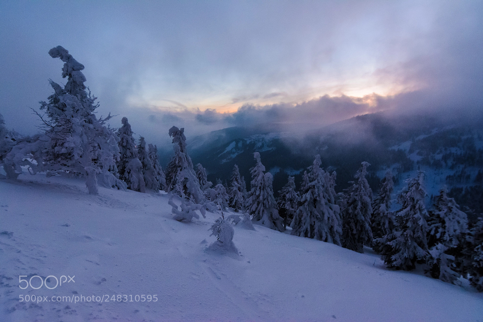 Nikon D7100 sample photo. Winter storm in jeseniky photography