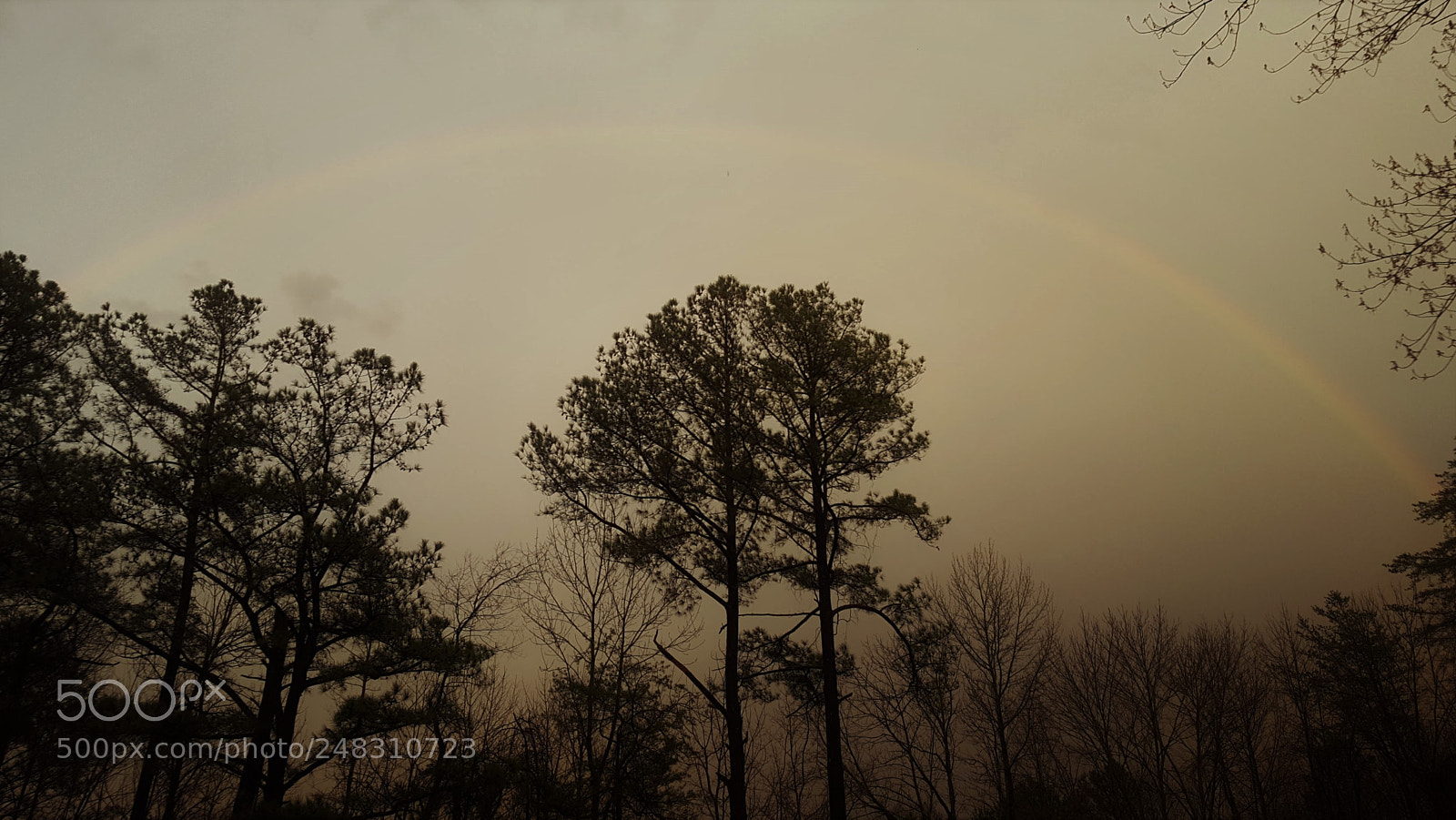 Samsung Galaxy S6 sample photo. God's promise photography