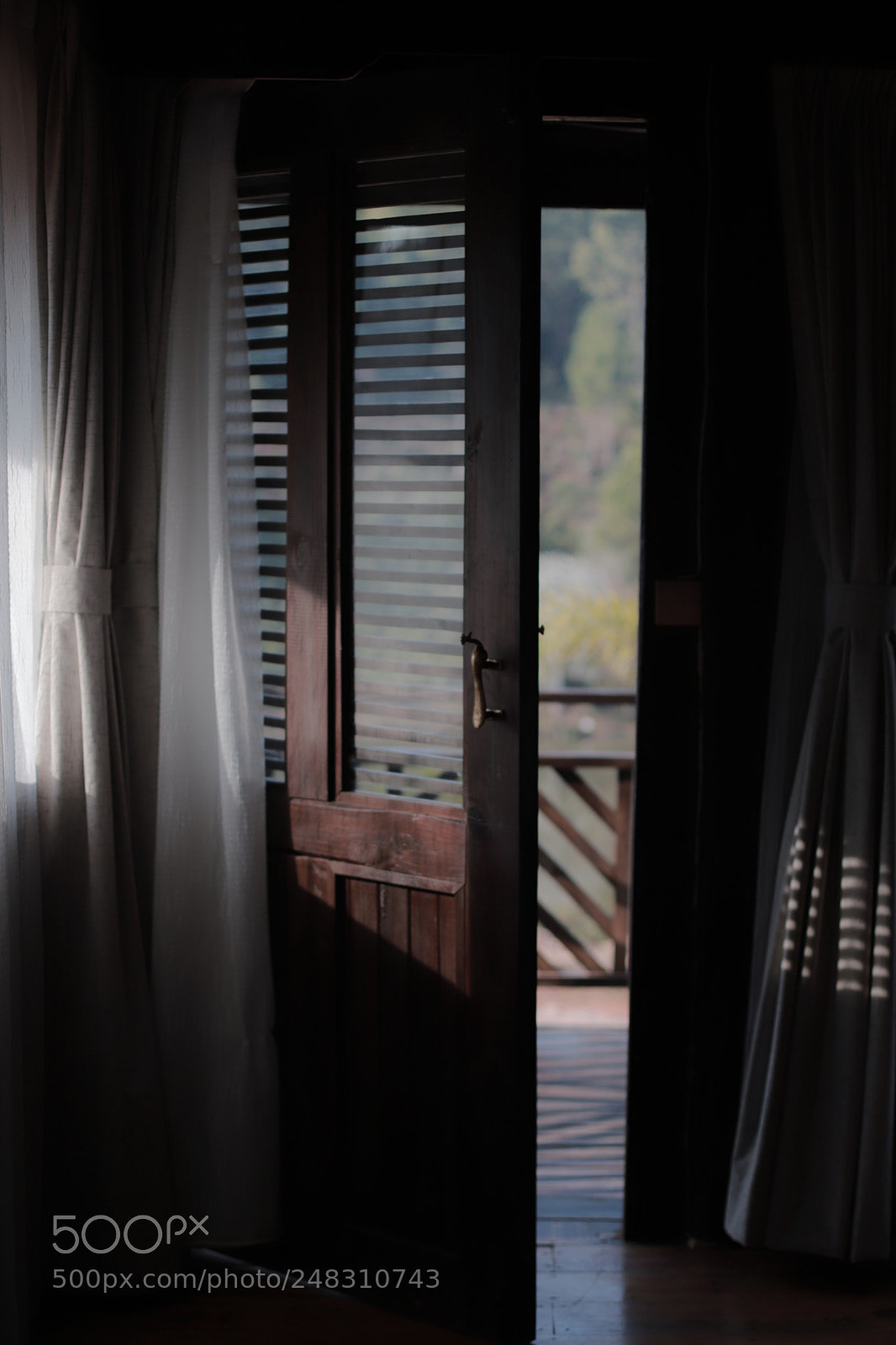 Canon EOS 6D Mark II sample photo. Untitled photography