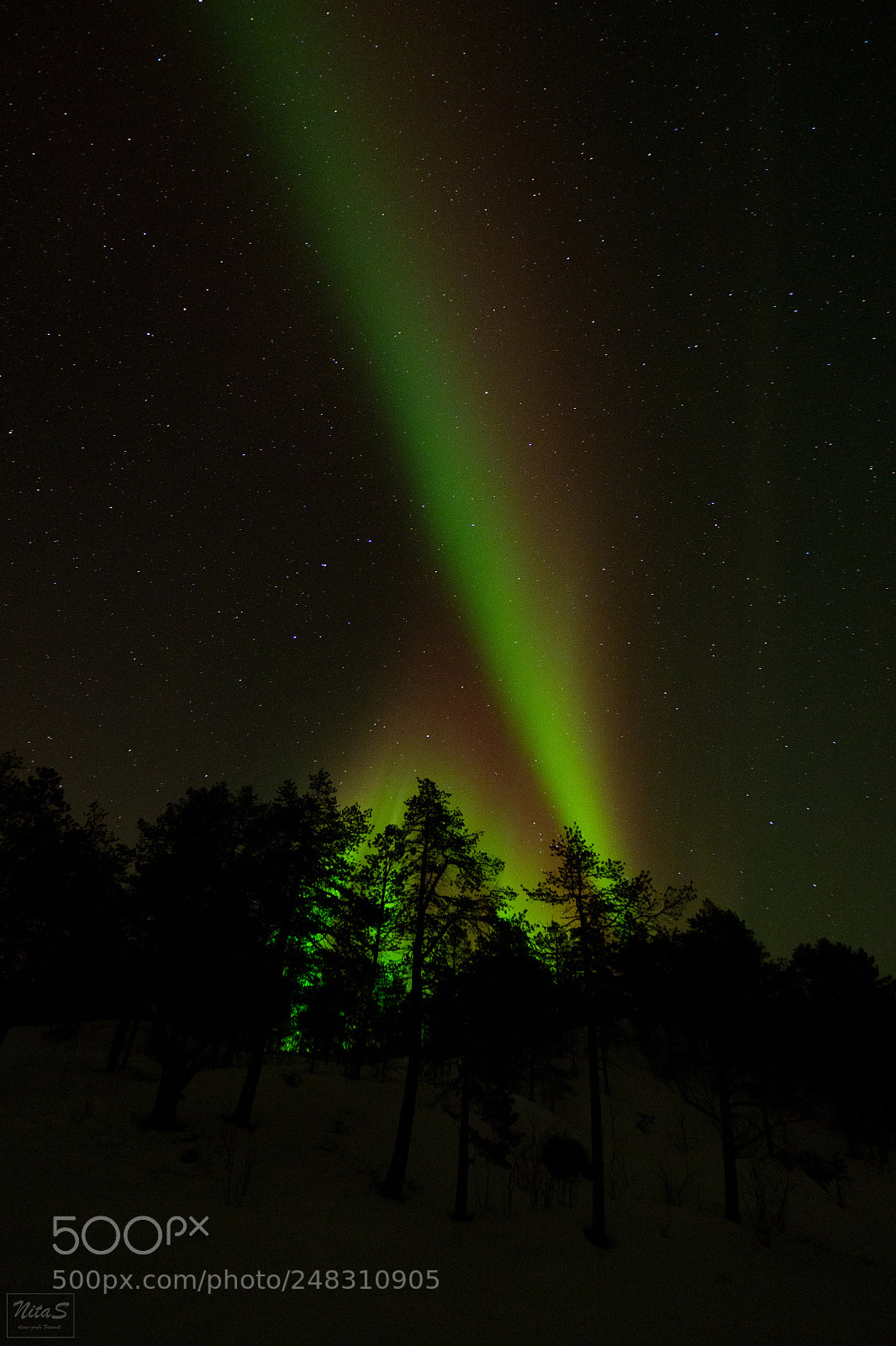 Olympus OM-D E-M1 Mark II sample photo. Northern lights over the photography