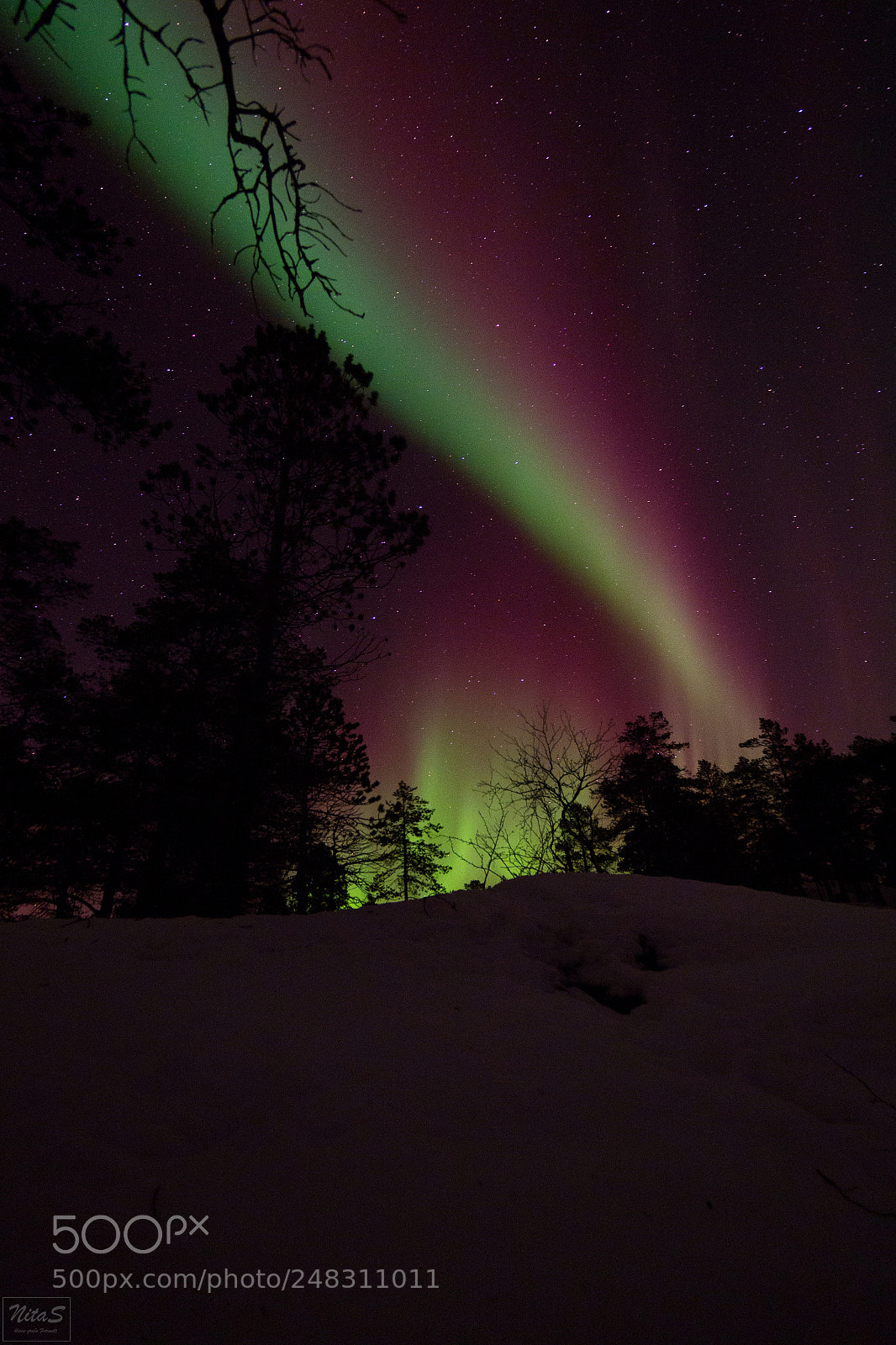 Olympus OM-D E-M1 Mark II sample photo. Northern lights over the photography