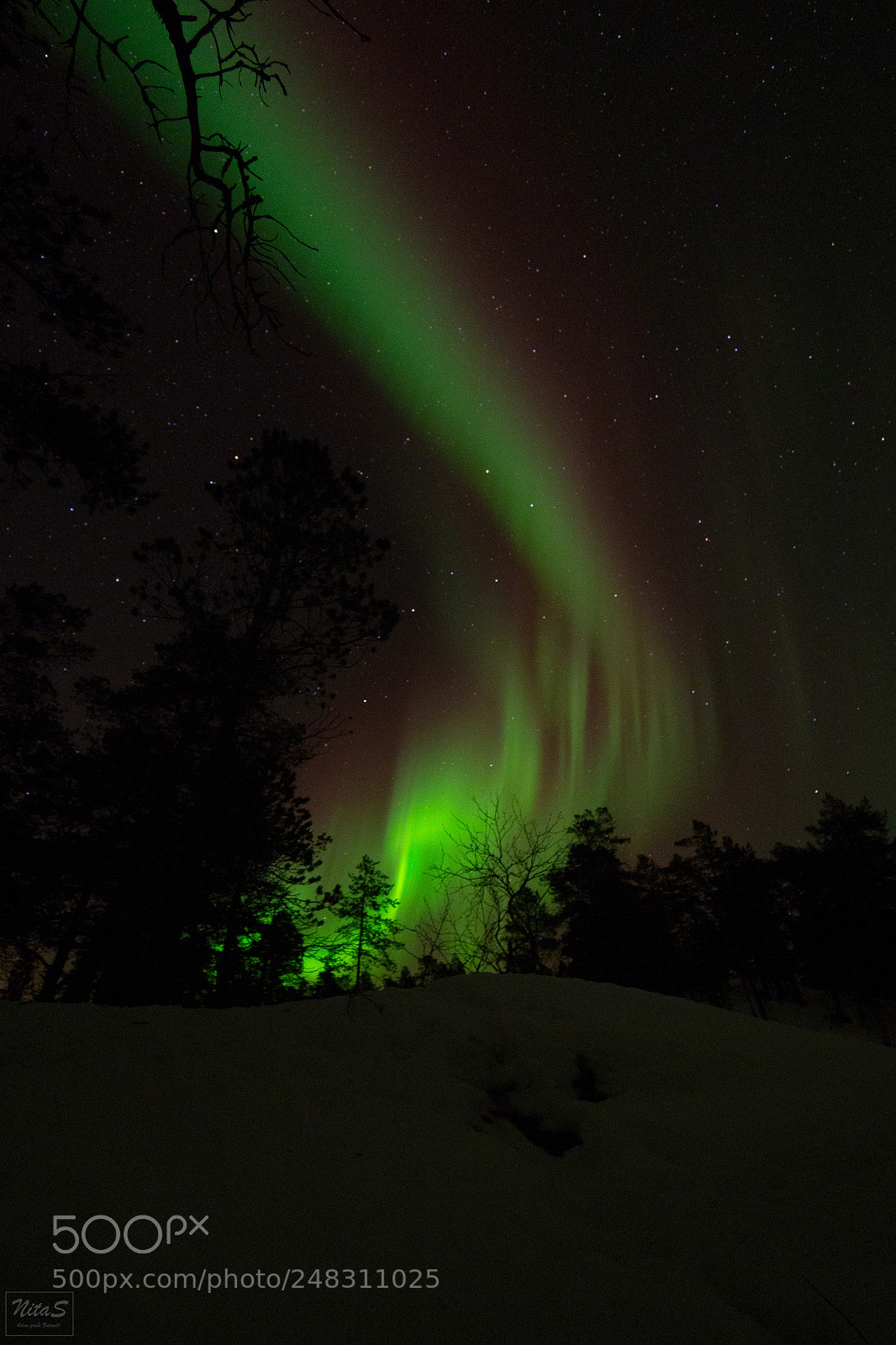 Olympus OM-D E-M1 Mark II sample photo. Northern lights over the photography