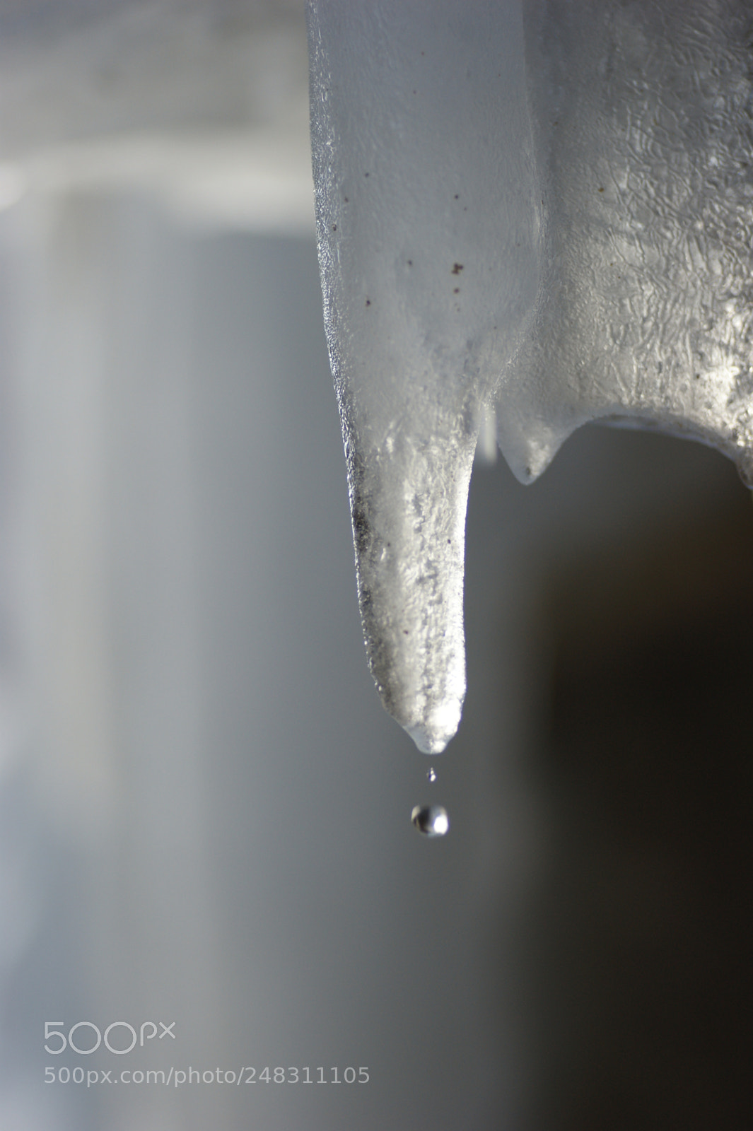 Sony Alpha DSLR-A350 sample photo. Untitled photography