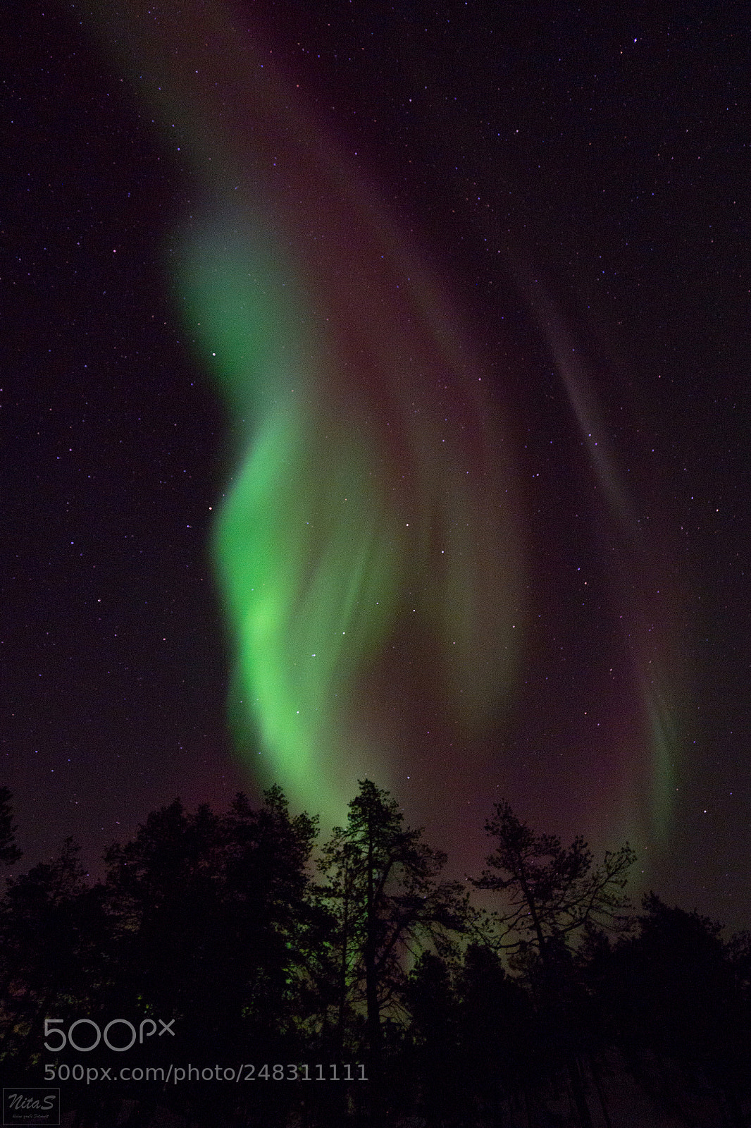 Olympus OM-D E-M1 Mark II sample photo. Northern lights over the photography