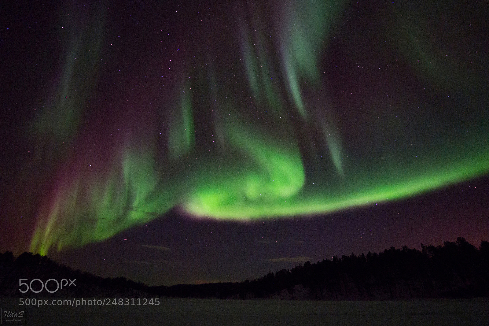 Olympus OM-D E-M1 Mark II sample photo. Northern lights over the photography
