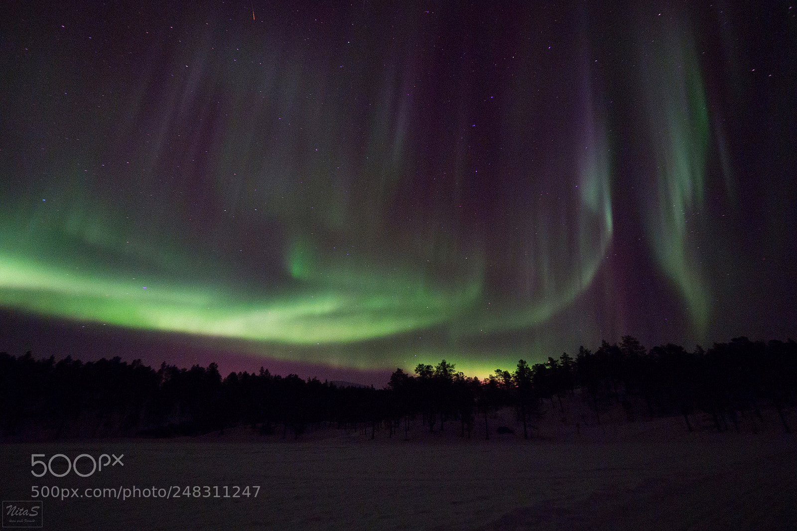 Olympus OM-D E-M1 Mark II sample photo. Northern lights over the photography