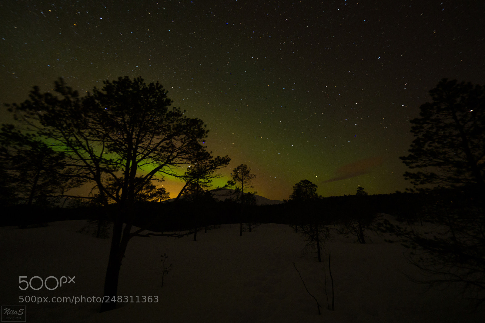Olympus OM-D E-M1 Mark II sample photo. Northern lights over the photography