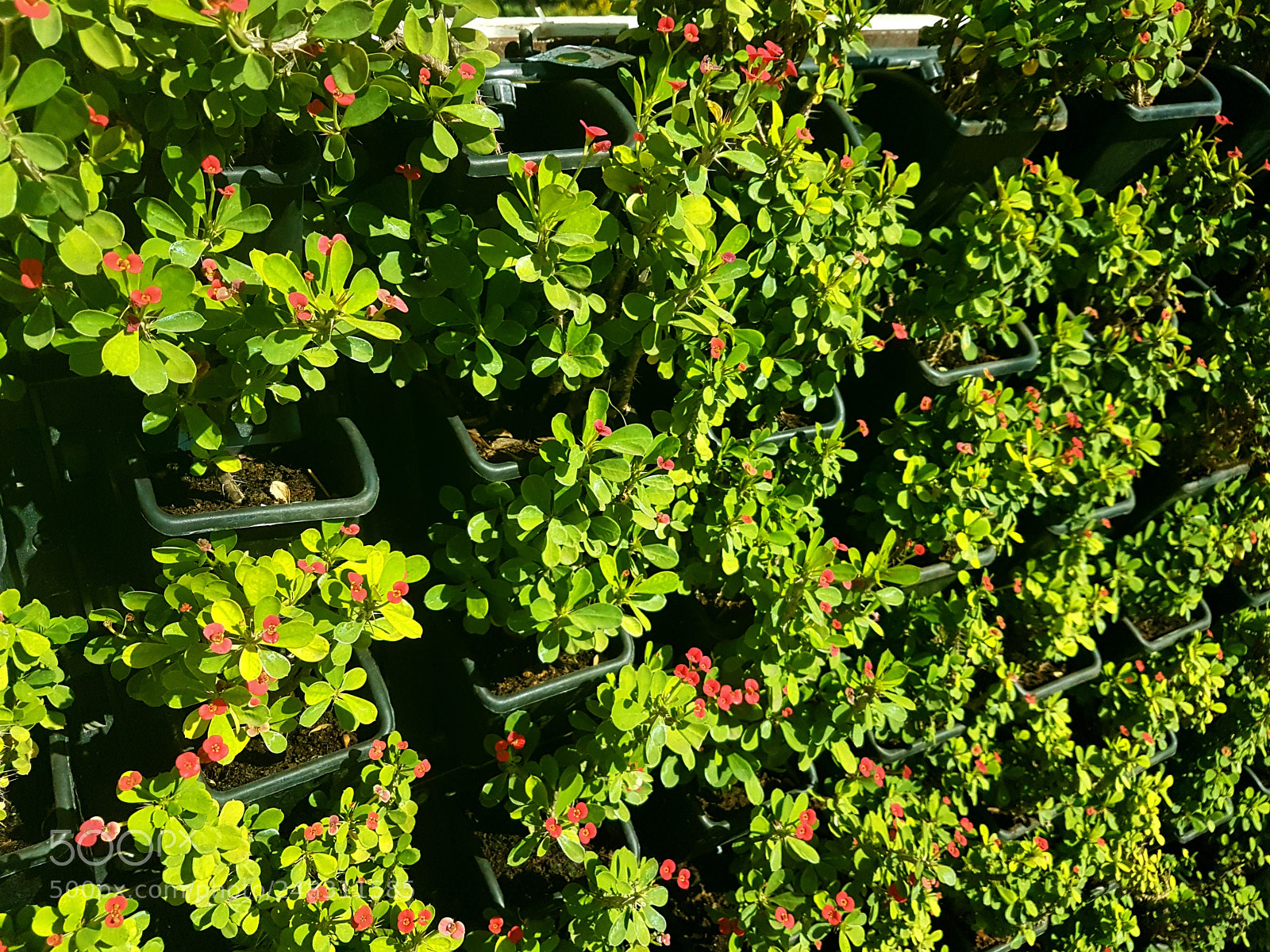 Samsung Galaxy S7 Edge sample photo. 20180302_154516.jpg photography