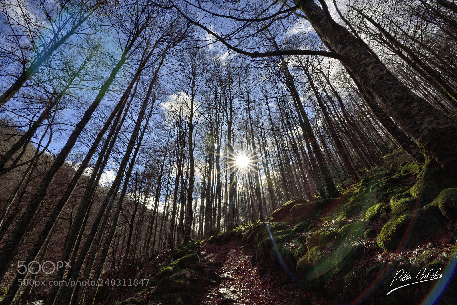Nikon D810 sample photo. Navarra bella photography