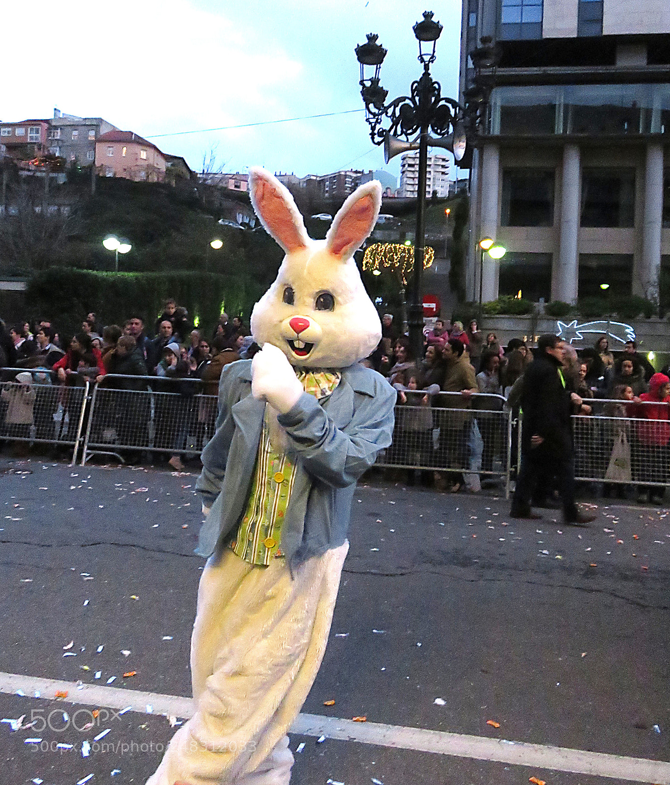 Canon PowerShot SX710 HS sample photo. Alice bunny photography