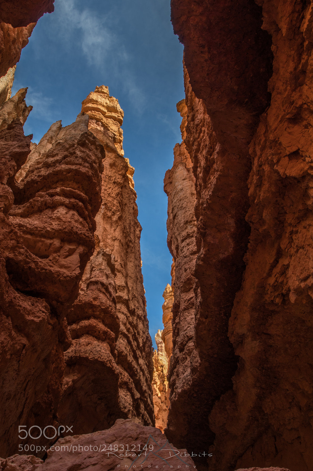 Canon EOS 80D sample photo. Hoodoos of bryce photography
